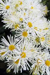 Similar image 492691