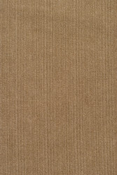 Similar image 492729