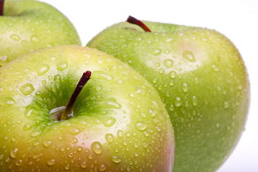 Similar image 492741