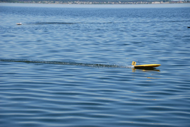 Similar image 492762