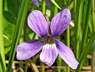 Similar image 492768