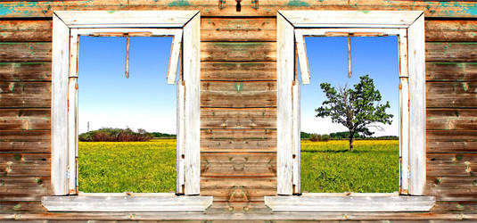 Similar image 492785