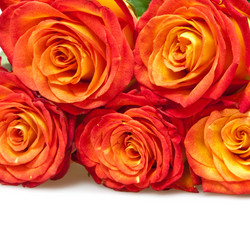 Similar image 492786