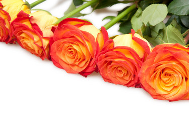 Similar image 492790