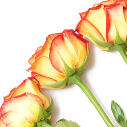 Similar image 492806