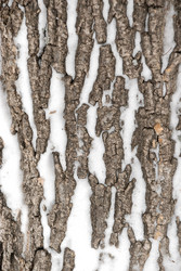 Similar image 492834