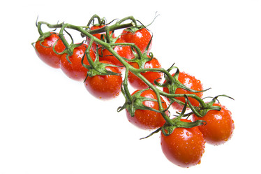 Similar image 492865