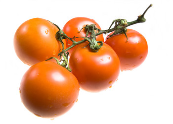 Similar image 492867