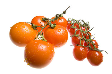 Similar image 492871