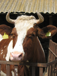 Similar image 492961