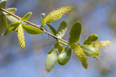 Similar image 492975