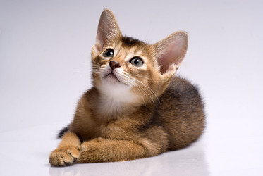 Similar image 492978