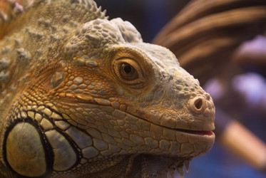 Similar image 492992