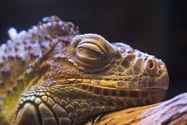 Similar image 492993