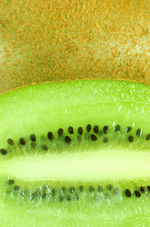 Similar image 493037