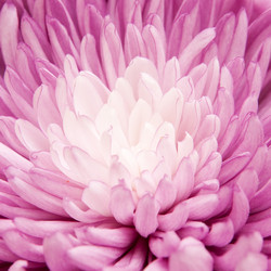 Similar image 493072