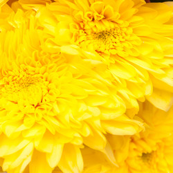 Similar image 493073