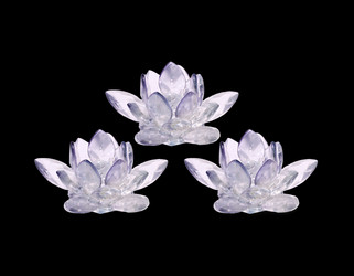 Similar image 493086