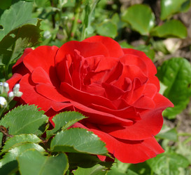 Similar image 493176