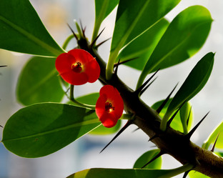 Similar image 493264