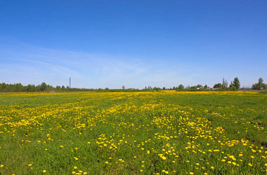 Similar image 493272