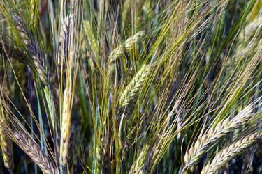 Similar image 493276