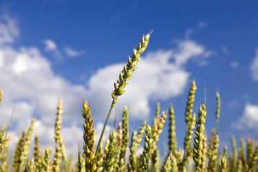 Similar image 493279