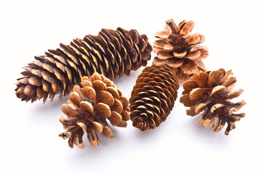 Similar image 493281