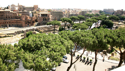 Similar image 493287