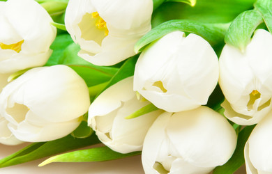 Similar image 493292