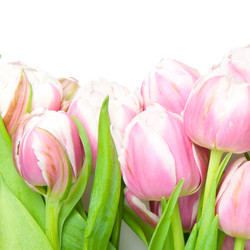 Similar image 493293