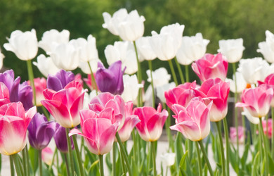 Similar image 493294