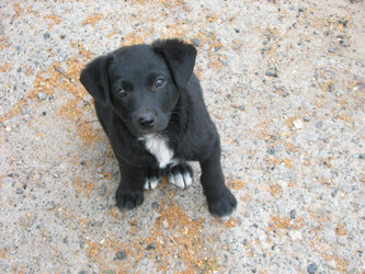 Similar image 493296