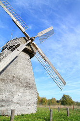 Similar image 493615