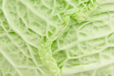 Similar image 493680