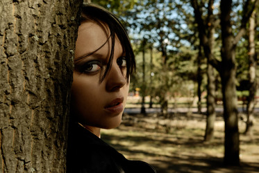 Similar image 493892