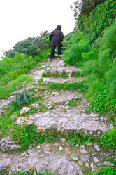 Similar image 493899