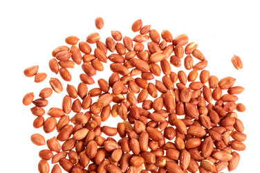 Similar image 493914