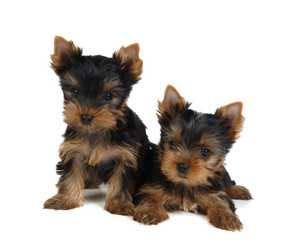 Similar image 493946