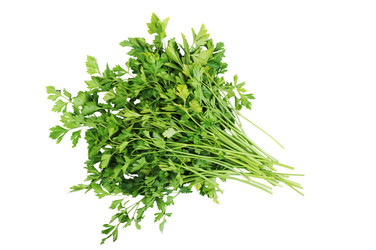 Similar image 493978