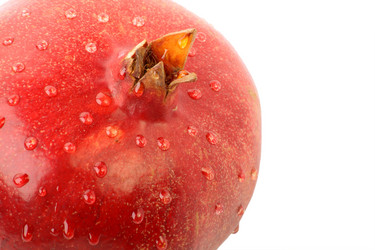 Similar image 494020