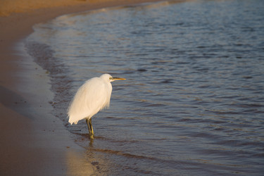 Similar image 494127