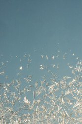 Similar image 494129