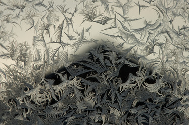 Similar image 494131