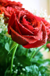 Similar image 494171