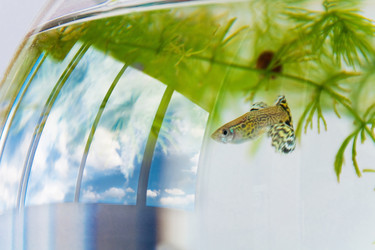 Similar image 494174