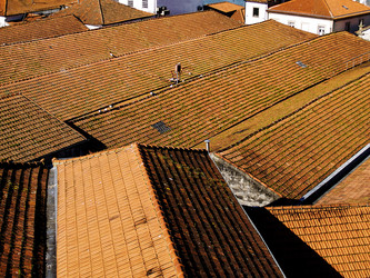 Similar image 494271