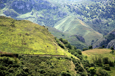 Similar image 494279