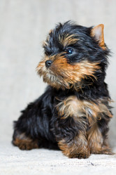 Similar image 494342