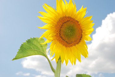 Similar image 494410